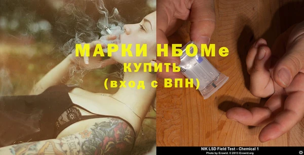 СК Алексин