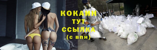 СК Алексин