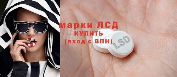 СК Алексин