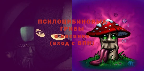 СК Алексин
