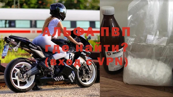 СК Алексин