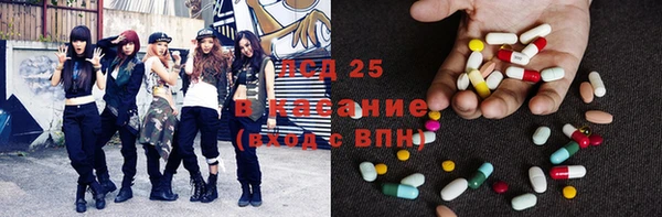 СК Алексин