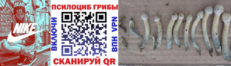 Галлюциногенные грибы прущие грибы Купить Зеленодольск